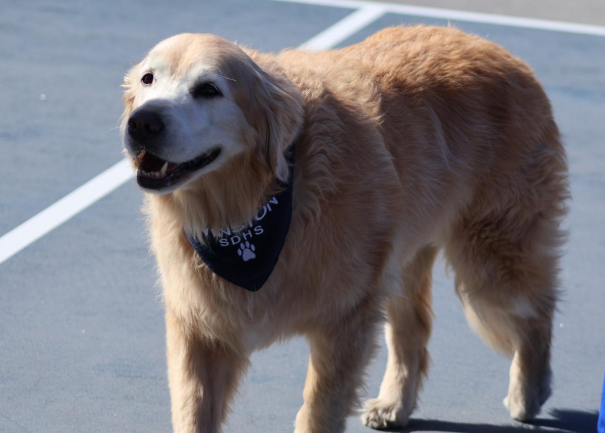 School "Mascot", Winston, roams about the tennis courts showing love to the graduating seniors before they head to the stage.